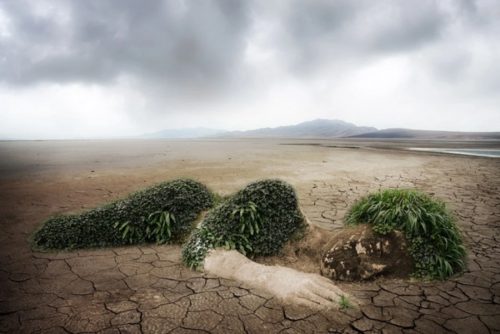 Renaturierungsgesetz - Nature Restoration Law - EU-Gesetz zur Wiederherstellung der Natur