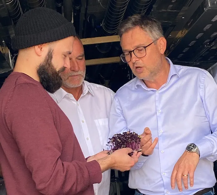 Der Berliner Urban-Gärtner Thomas Bless (links), der hessische Bio-Gemüsebauer Stefan Ruckelshaußen und der Schweizer Umweltingenieur und MABEWO-CEO Jörg Trübl begutachten ihre gesunden Microgreens ( Jungpflanzen im Keimblattstadium), die in ihren Green-Domes in der Pilotanlage auf dem Food & Energy Campus Groß-Gerau im Rhein-Main-Gebiet jahreszeitenunabhängig⁠ wachsen ⁠ © Facebook.com/foodandenergycampus