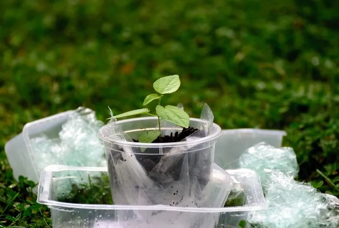 Recycling - eine attraktive zukunftsträchtige Beteiligungsmöglichkeit?