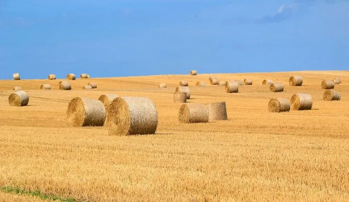 Enteignungen von privaten Land für die Energiewende